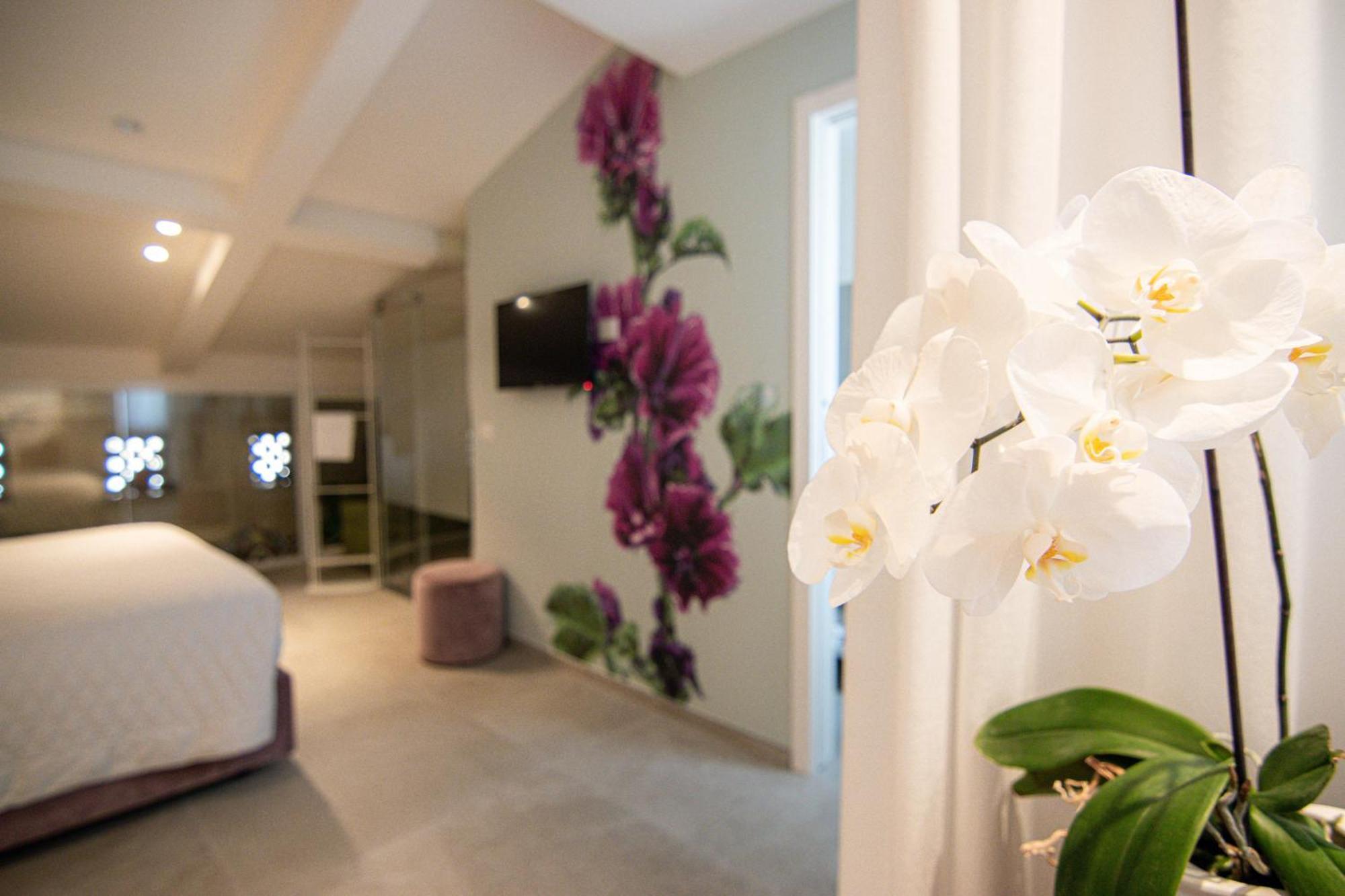 Profumi Di Primavera Luxury Rooms & Suite Matera Esterno foto